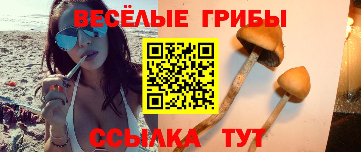 Галлюциногенные грибы Psilocybe Екатеринбург