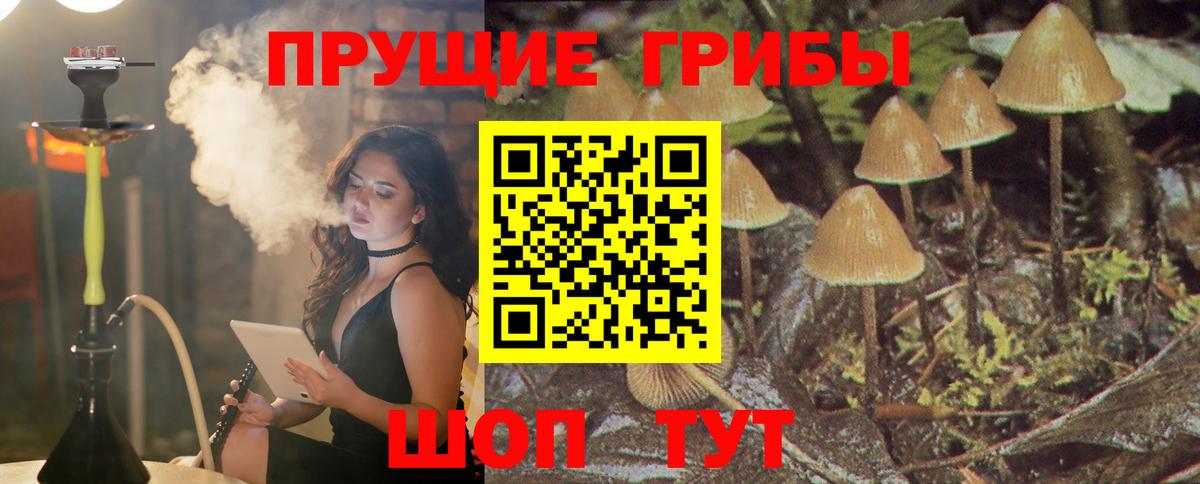 Екатеринбург  Псилоцибиновые грибы Magic Shrooms  Псилоцибиновые грибы Psilocybe  Вход с VPN 